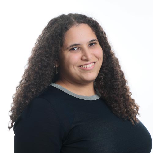 דוד נועם, מורה לפיזיקה